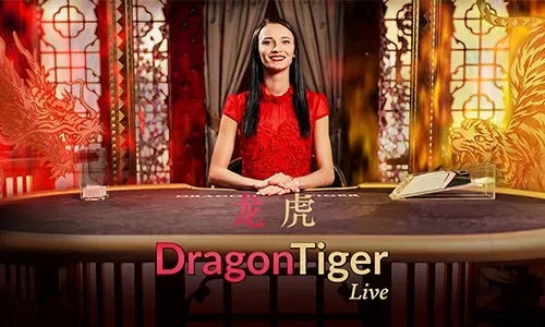 Immersive Live Casino Experience